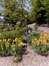 KODAK Digital Still Camera