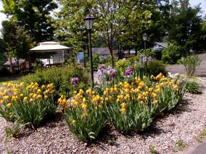 KODAK Digital Still Camera